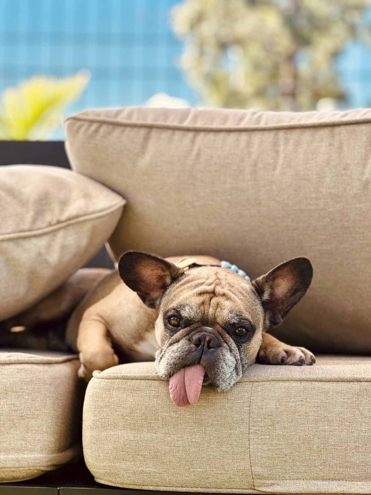 Patio lounger